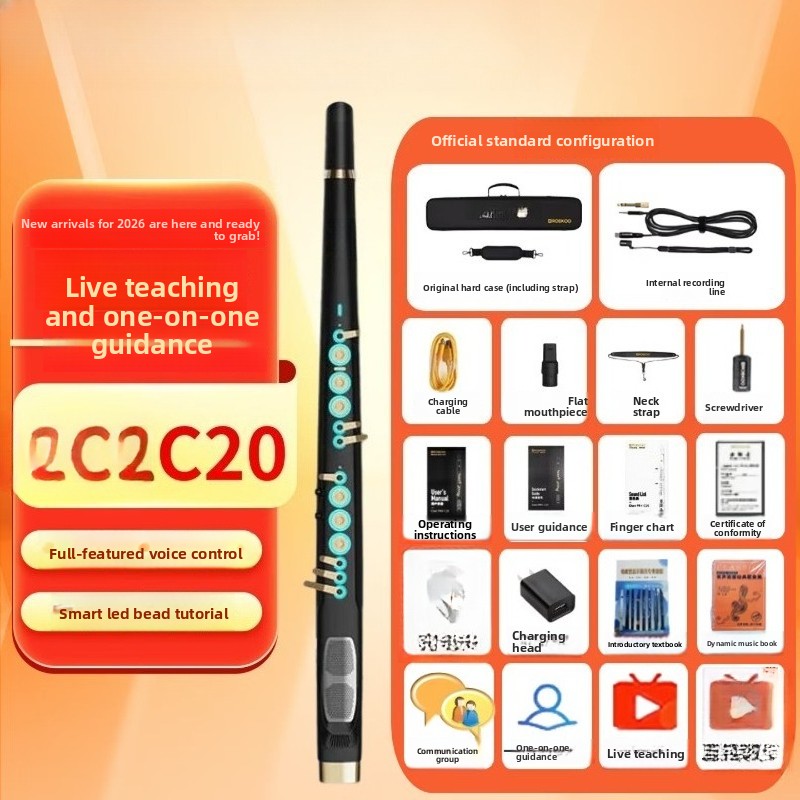C20 instrumen musik elektrik c - Musical Instrument You Blow ulasan dan harga