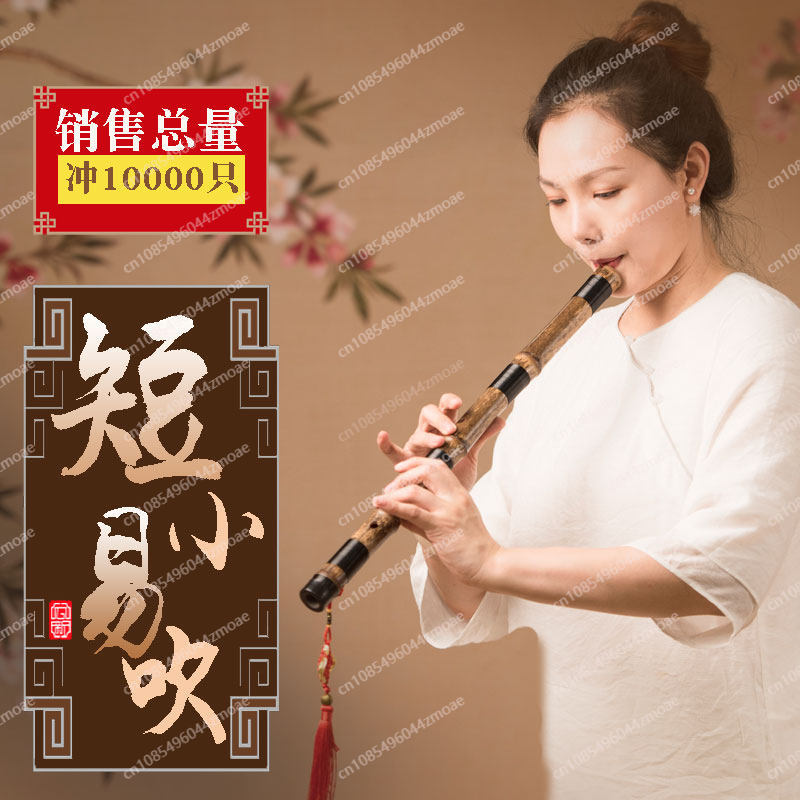 Seruling bambu Xiao pendek pro - Musical Instrument You Blow ulasan dan harga