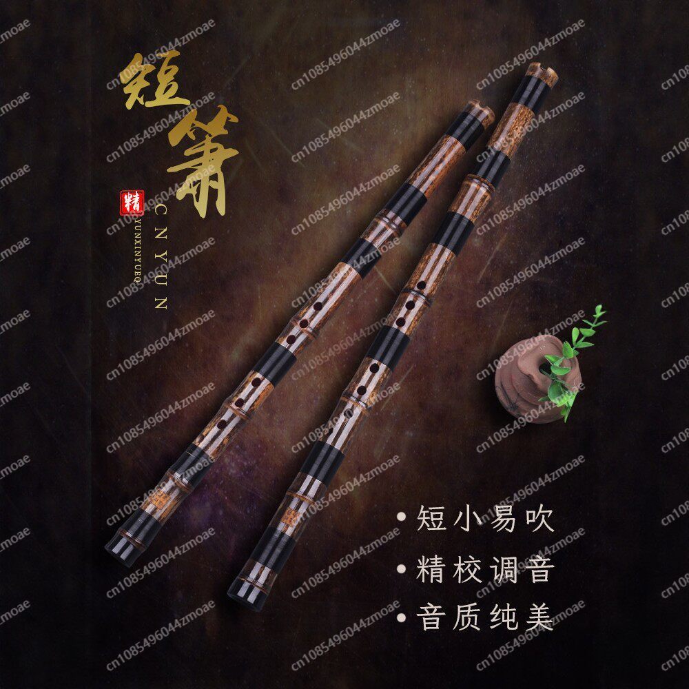Seruling bambu Xiao pendek pro - Musical Instrument You Blow ulasan dan harga